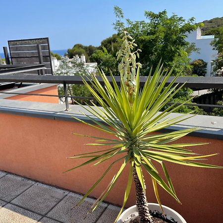 Sunny Apartment Sa Boadella Big Solarium Sea View Lloret de Mar Eksteriør billede